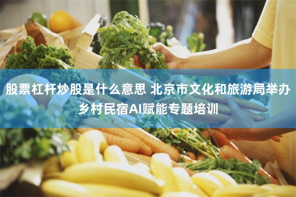 股票杠杆炒股是什么意思 北京市文化和旅游局举办乡村民宿AI赋能专题培训