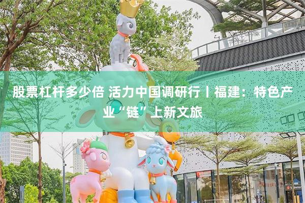 股票杠杆多少倍 活力中国调研行丨福建：特色产业“链”上新文旅