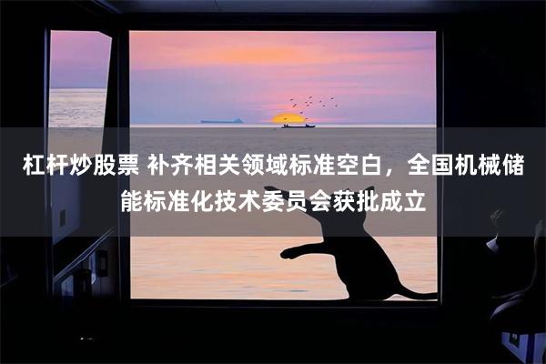 杠杆炒股票 补齐相关领域标准空白，全国机械储能标准化技术委员会获批成立